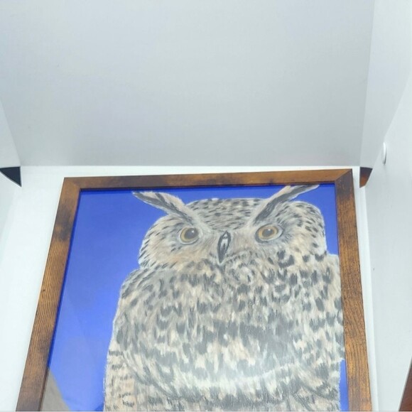 Handmade Framed Pencil Art Horned Owl Colored  Drawing 8x10 inch One of a Kind - Picture 4 of 12